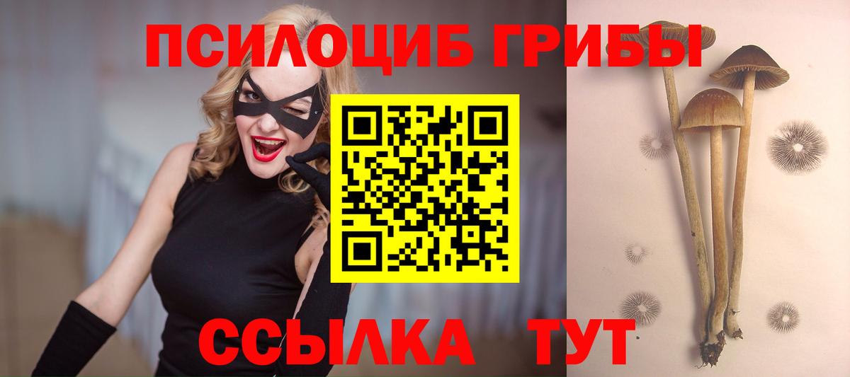Псилоцибиновые грибы Cubensis Александров